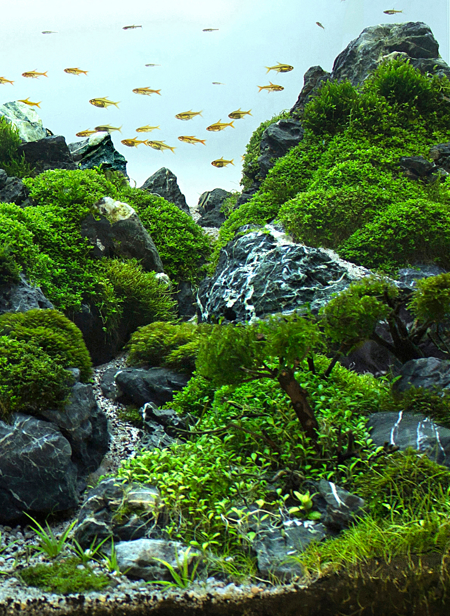 A morning of peace and calm Small 2